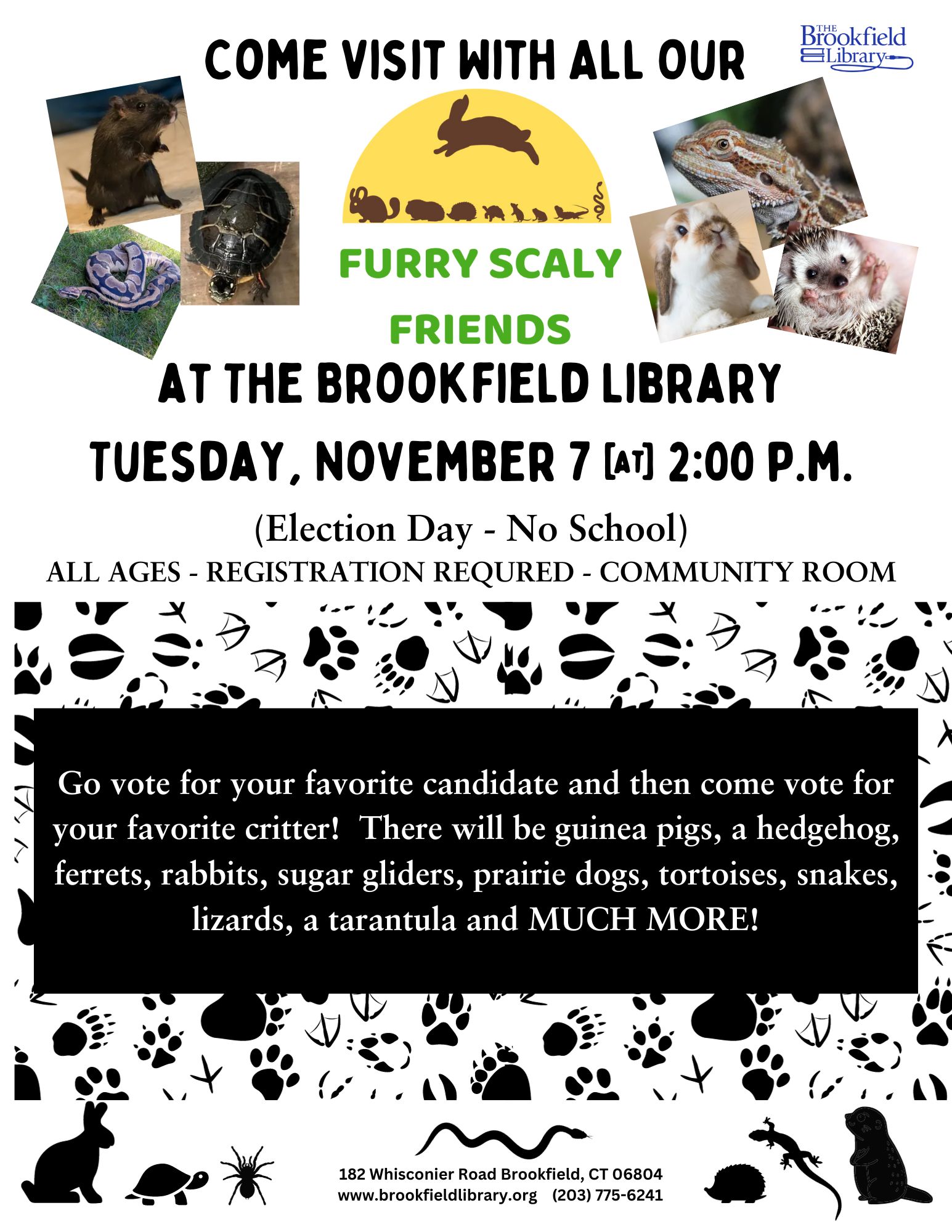 Our Furry Scaly Friends Animal Program The Brookfield Library